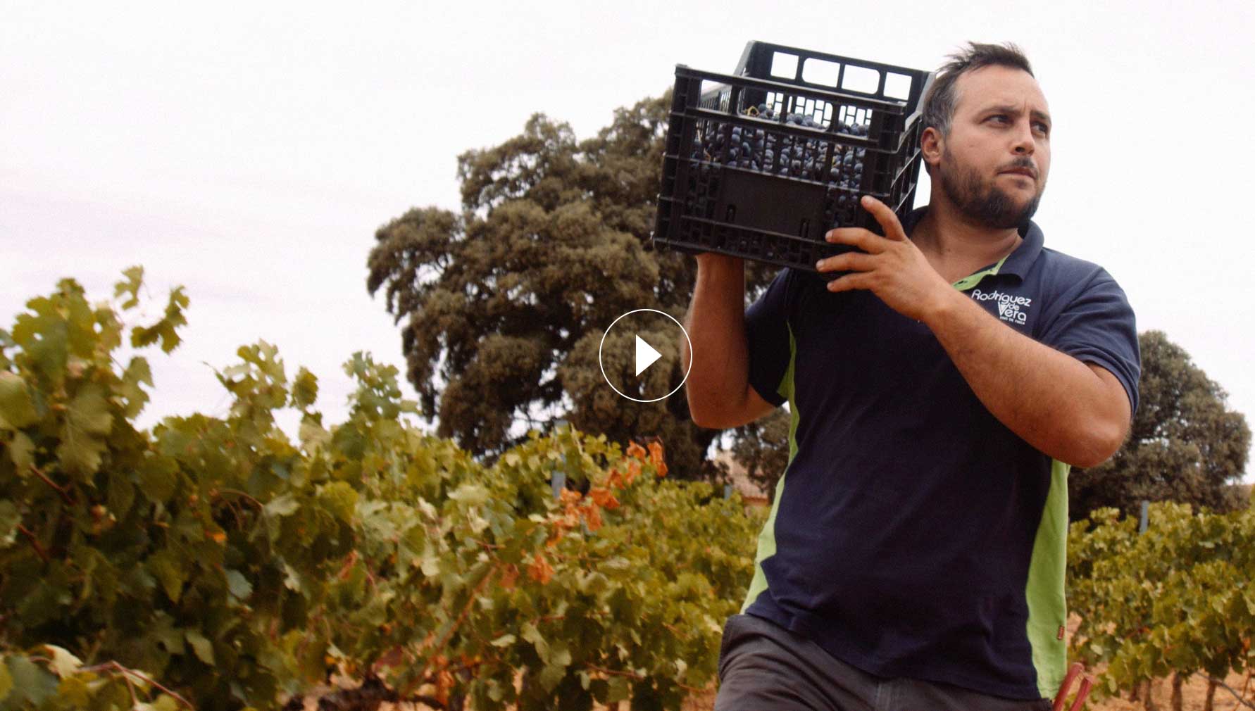 foto Bombero Currante